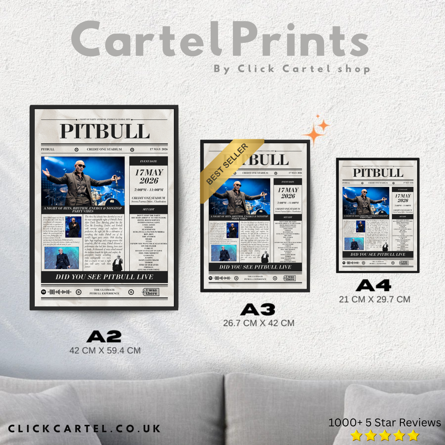 Pitbull - Personalised Newspaper Style Concert Poster